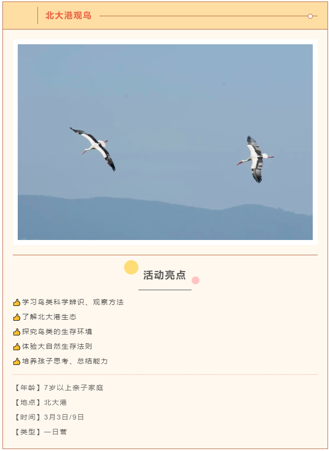 from clipboard