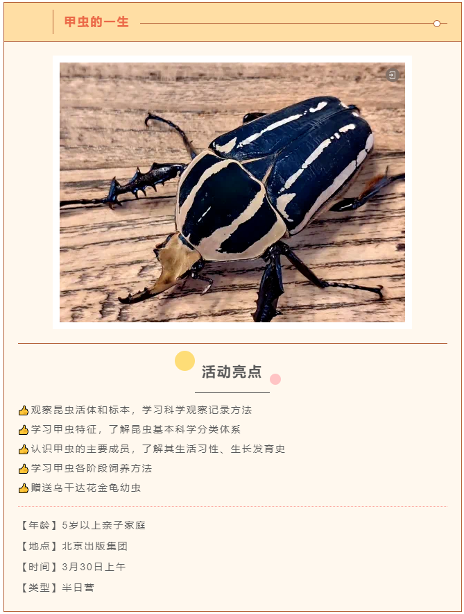 from clipboard