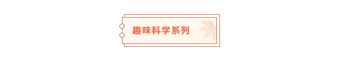 from clipboard