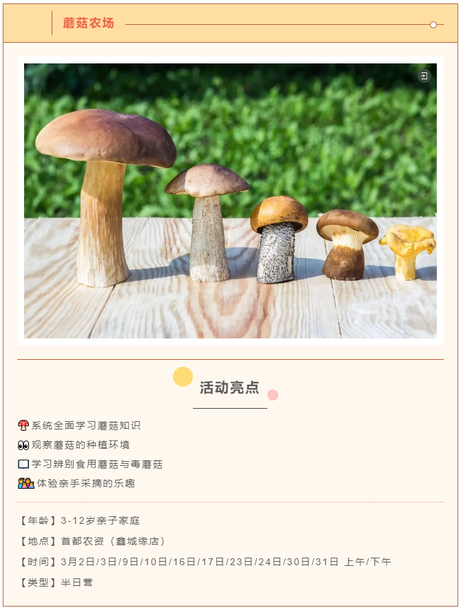 from clipboard