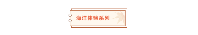 from clipboard