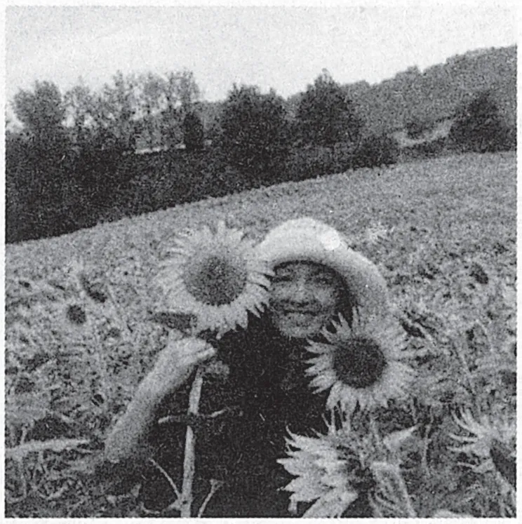 from clipboard from clipboard