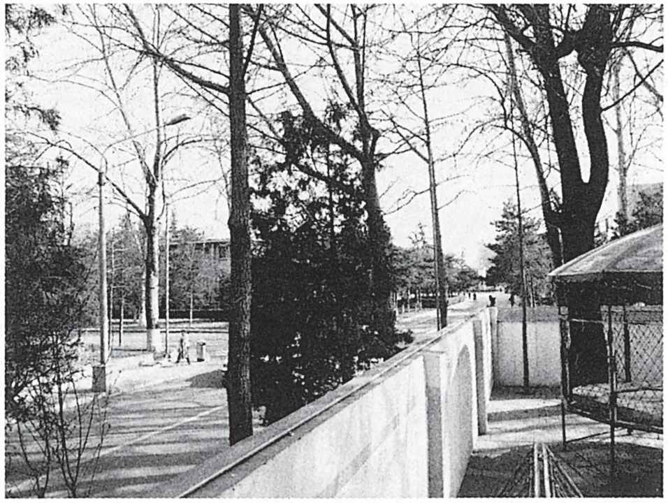 from clipboard from clipboard